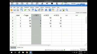 Recode into the Same Variable in SPSS [upl. by Atilrak745]