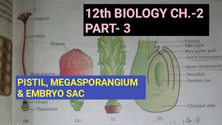 Class 12 biology chapter2 Part3 Pistil megasporangium and embryo sacStudy with FARRU [upl. by Hachman]