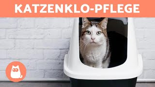 GRUNDPFLEGE des KATZENKLOS 🐱 Typen von Streu und Reinigung [upl. by Atteras]