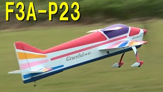 F3AP23 Graceful 【ラジコン飛行機】 [upl. by Airetnahs]