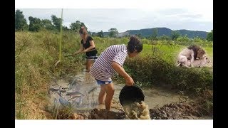 Amazing Fishing At Battambang  Beautiful Girl Fishing  How To Catch Fish By Hand SH Part 08 [upl. by Eyatnod872]