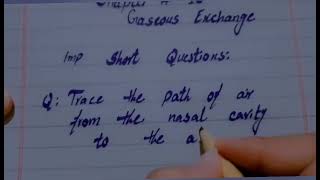 10th class biology  chapter 10  imp question answer  path of air from the nasal cavity to alveoli [upl. by Akirahs]