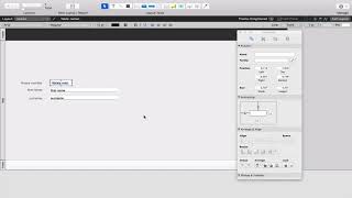 Filemaker Basics pt I [upl. by Lehcim]