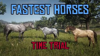 Fastest Horses Time Trial  Missouri Fox Trotter v Brindle Thoroughbred v Reverse Dapple Roan Nokota [upl. by Antsirhc]