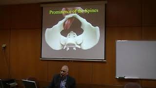 Contracted Pelvis and Cephalopelvic Disprortion CPD Dr Reda Ismail [upl. by Ashely]