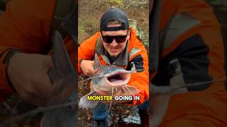 Restocking my DEAD Pond 🎣🔥part 10 shorts fishing [upl. by Sumerlin262]