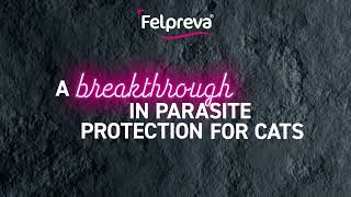 Felpreva®  easier parasite protection for your cat [upl. by Donn541]