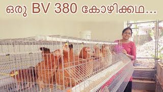 ഒരു BV 380 കോഴിക്കഥHow to do BV380 Hen Farming [upl. by Zeb]