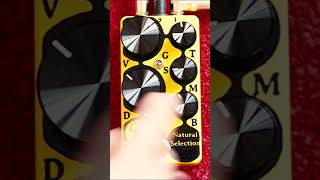 Greuter Audio Natural Selection transparent overdrive [upl. by Ankeny381]