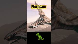 🦖 What is a Pterosaur What was a Pterosaur What is a Pterodactyl dinosaur pterosaurus history [upl. by Koran]