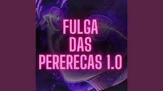 Fulga das Pererecas 10 [upl. by Bloxberg]