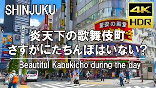 Japan  Walking around Shinjuku Kabukicho the beautiful during the day Tokyo 【4kHDR】 [upl. by Immot]