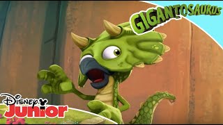 🦕 Învățăm nume de dinozauri  Gigantozaurul  Disney Junior România [upl. by Akinuahs391]