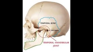 Anatomy of Temporomandibular joint in detail ligaments of TMJAnatomy of TMJ [upl. by Barvick]