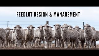 Practical feedlot seminar Feedlot design and management [upl. by Awahsoj]