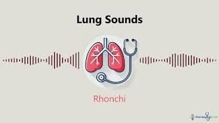 Lung Sounds Rhonchi [upl. by Heda]