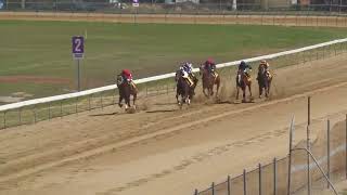 Bundaberg 20241105 Race 2 [upl. by Oralle718]