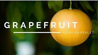 Grapefruit  The Oil of Honouring Thyself [upl. by Koehler869]