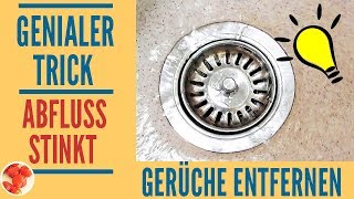 Genialer Trick Abfluss stinkt Mit diesen Hausmitteln den Abfluss reinigen  3 Bonustipps [upl. by Anilos]