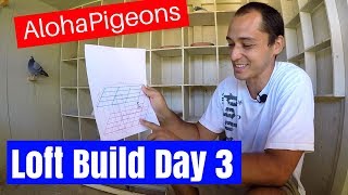 Homing Racing Pigeon Loft Construction Day 3 [upl. by Cralg]