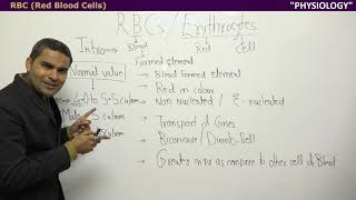 RBC Erythrocyte by Dr Prashant Thakur Drlectures RBC Erythrocyte red blood cell dumbleformed [upl. by Raleigh]