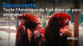 Découverte  toute lAmérique du Sud dans un parc animalier [upl. by Lynd]