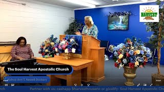 The Soul Harvest Apostolic Church [upl. by Omolhs]