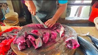 VERY NEAT CUTS OF TUNA SASHIMI  CUTTING SKIPJACK TUNA IN MARKET [upl. by Roz]