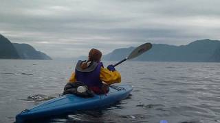 Fjord du Saguenay [upl. by Maximo907]