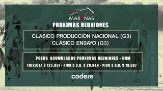 140724 CARRERAS HIPODROMO MARONAS  EN VIVO  URUGUAY [upl. by Travers]