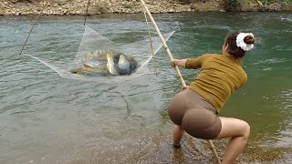 Fishing Techniques  Traditional Net Fishing Using Good Bait Catch a Lots Of Fish  Girl Fishing [upl. by Nolly]