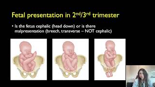 Basics of Obstetrical Ultrasound [upl. by Desmund288]