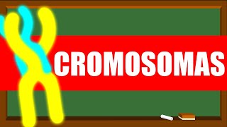 Estructura de LOS CROMOSOMAS👨🏽‍🏫🧬🧪🔬 Te lo explico RÁPIDO Y FÁCIL [upl. by Putscher]