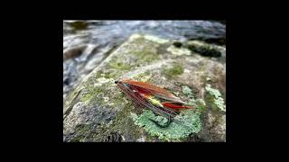 100 Years Ago on river Deveron – Heaviest UK FlyCaught Salmon 🎥D Miller [upl. by Amilah]