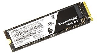 WD Black NVMe SSD [upl. by Neu296]