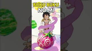 This Devil Fruit BEAT Luffy and got NERFED by Oda [upl. by Bilek]