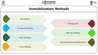 Enzyme Immobilization techniques use of isolated enzymes in industrial processes [upl. by Donavon6]