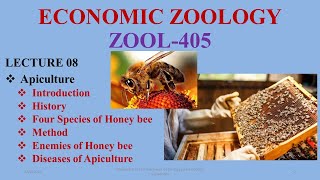 Apiculture Part1 Introduction History Bee colony honey composition Four species of Honey bee [upl. by Maril503]