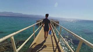 Red Sea Snorkeling  Princess Beach Eilat Israel 2020 February [upl. by Nnaaihtnyc]