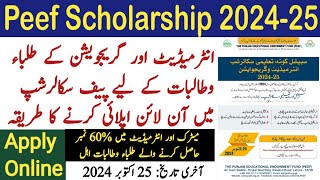 peef scholarship form fill karne ka tarika 2024  peef special quota scholarship apply online 2024 [upl. by Elyrrad]