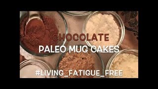 EASY amp QUICK Paleo  Gluten Free Dairy Free  SugarFree Low Carb Mug Cakes [upl. by Vivie]