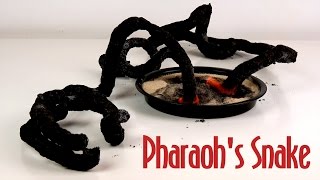 Amazing Black Pharaohs Snake  3 Pharaohs Serpent Science Experiment [upl. by Emlyn]