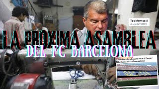 🔵🔴LA PROXIMA ASAMBLEA DEL FC BARCELONA🐑🐑 [upl. by Yerrok]