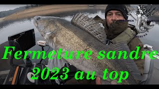 Fermeture du sandre 2023 les poissons sont au rendez vous [upl. by Losse]