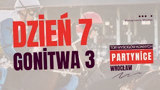 2024 dzień 7 gonitwa 3 [upl. by Hcnarb]