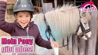 Prüfung auf dem Reiterhof 🐴 Ich mache das Reitabzeichen mit meinem Pony Shopping Haul  Clarielle [upl. by Munster505]