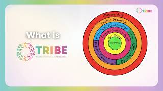 What Is TRIBE  TRAUMA INFORMED CARE In Practice  TRIBE Guide 1 [upl. by Alcott]