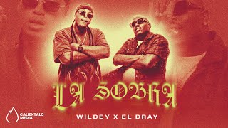 Wildey El Dray  LA SOBRA Video Oficial [upl. by Amelita]