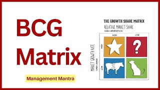 BCG Matrix in Hindi Examples BCG Matrix Model Strategic Management [upl. by Alger892]