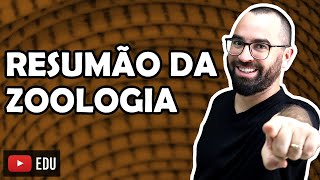 Resumão Zoologia  Apêndice 01  Módulo VI Embriologia e Zoologia  Prof Gui [upl. by Loesceke]